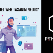 Profesyonel Web Tasarım Nedir