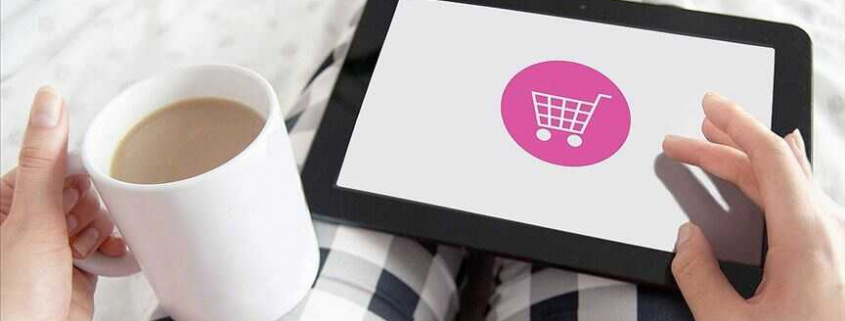 E Ticaret Web Sitesi Fiyatları